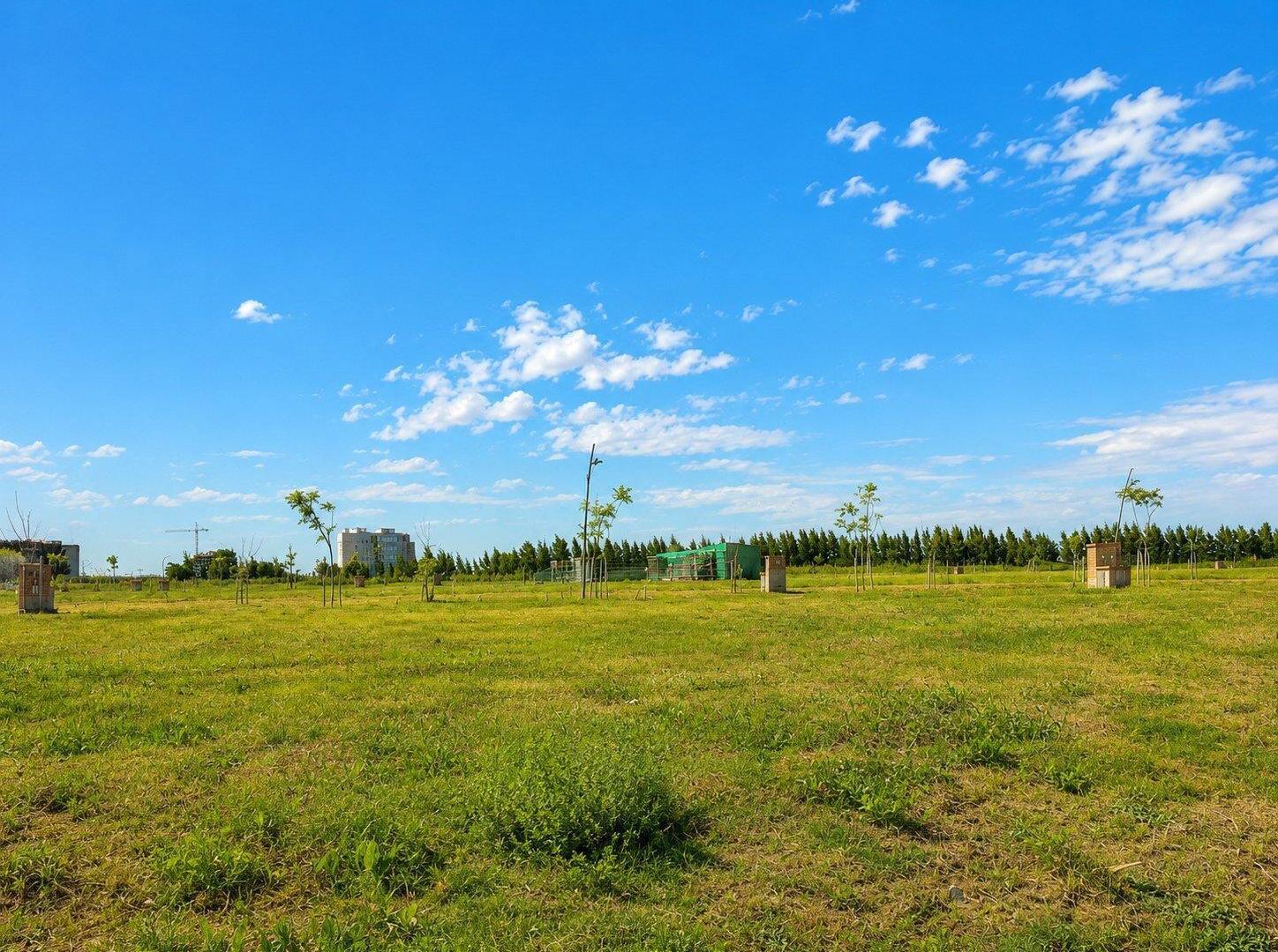 Foto de LOTE A LAGUNA EN VENTA | BARRIO SILVESTRE – NORDELTA, imagen 1