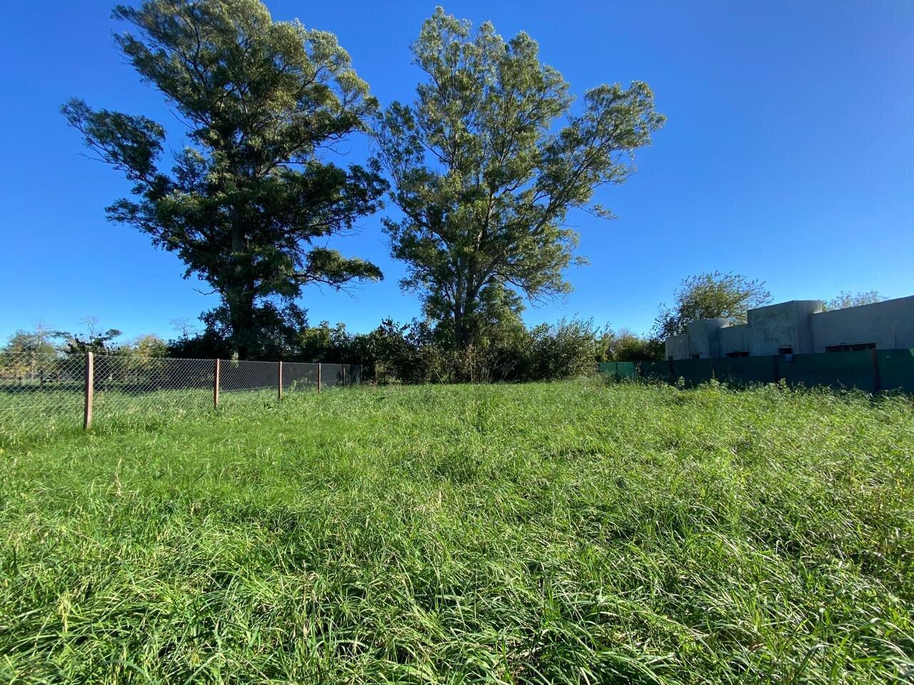 Foto de Lote 930 m² escriturado en EcoChacras Belén de Escobar, imagen 5