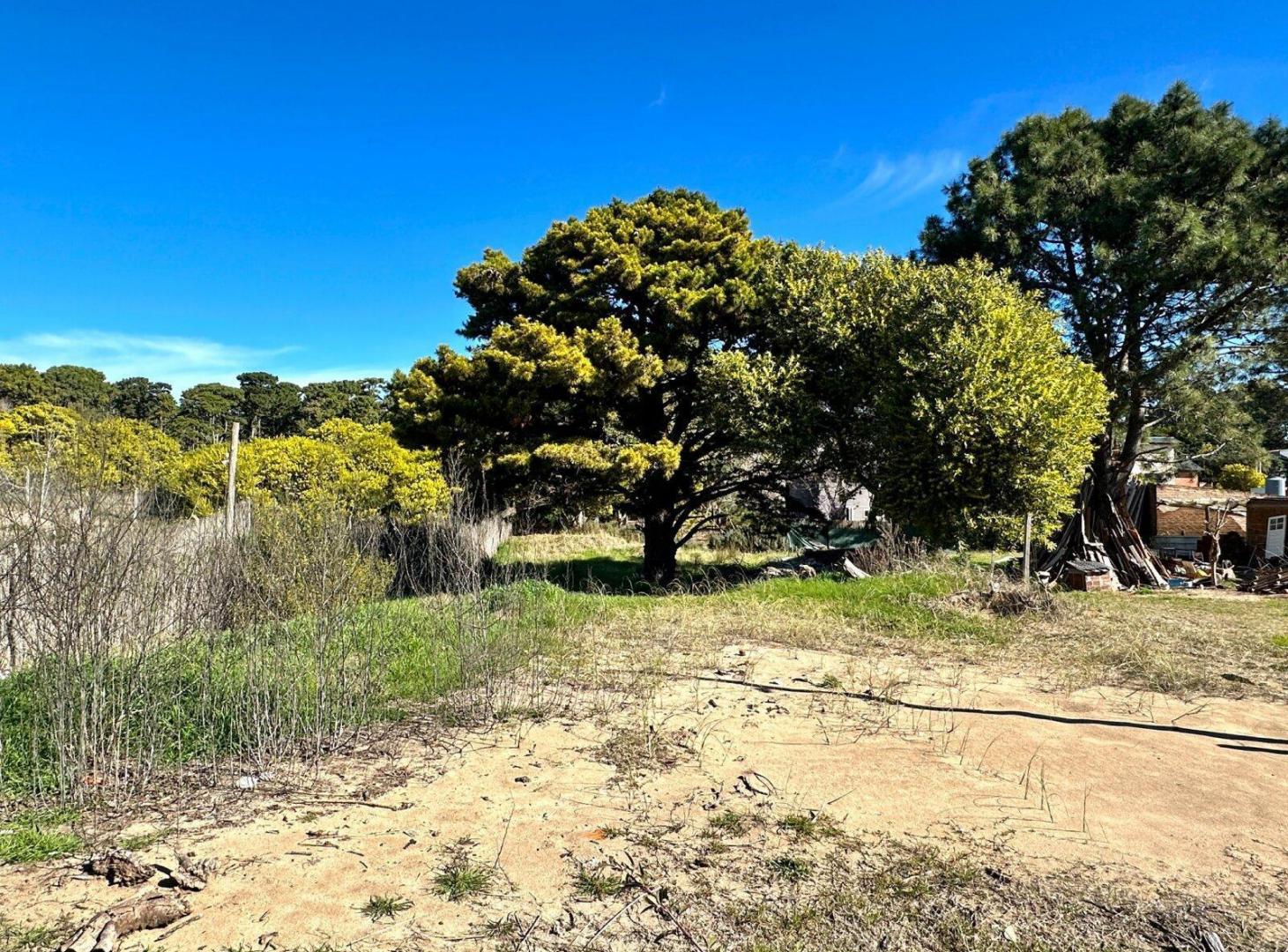 Foto de Lote en venta Las Gaviotas Partido de Villa Gesell, imagen 5