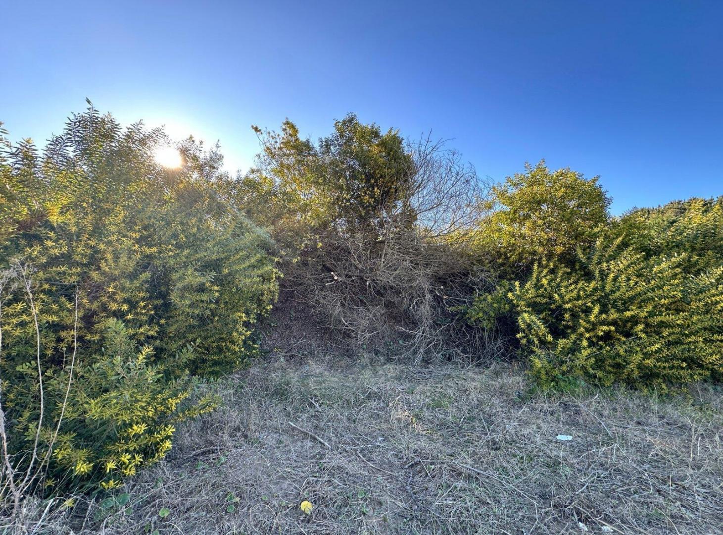 Foto de Venta Lote Costa Esmeralda Barrio Senderos I, imagen 2