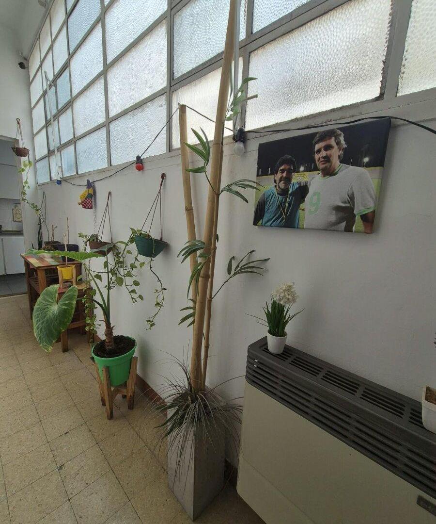 Foto de Venta Ph 2 ambientes con galeria 50.16 mts Flores, imagen 5