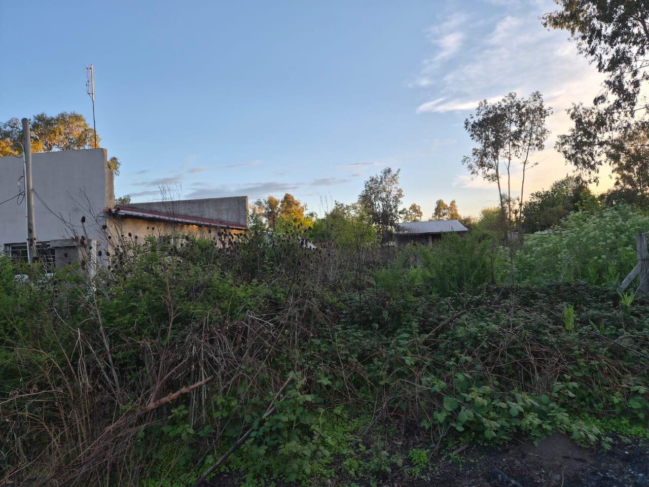 Foto de VENTA LOTE Gral RODRIGUEZ 712 m2, imagen 5