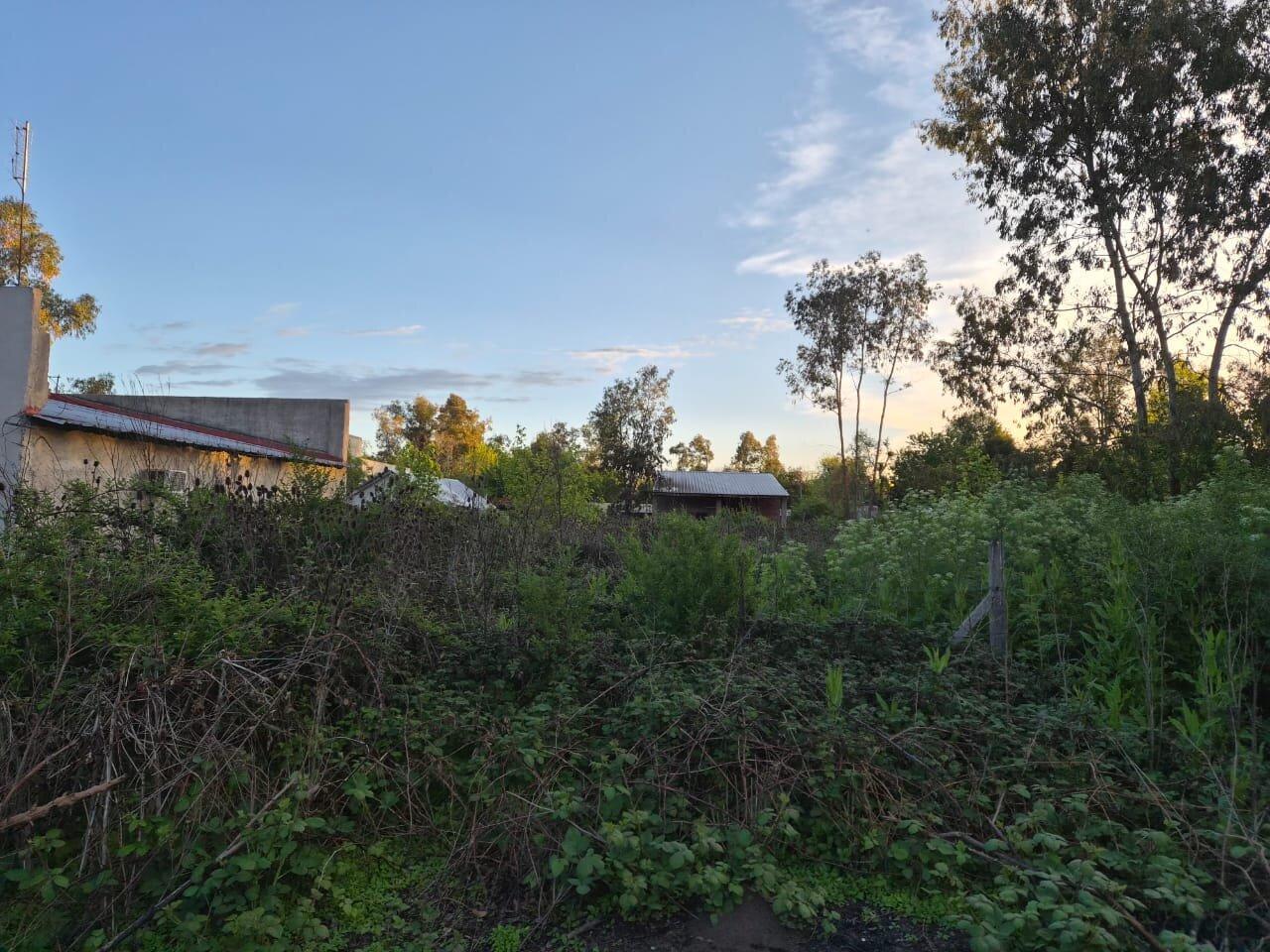 Foto de VENTA LOTE Gral RODRIGUEZ 712 m2, imagen 3