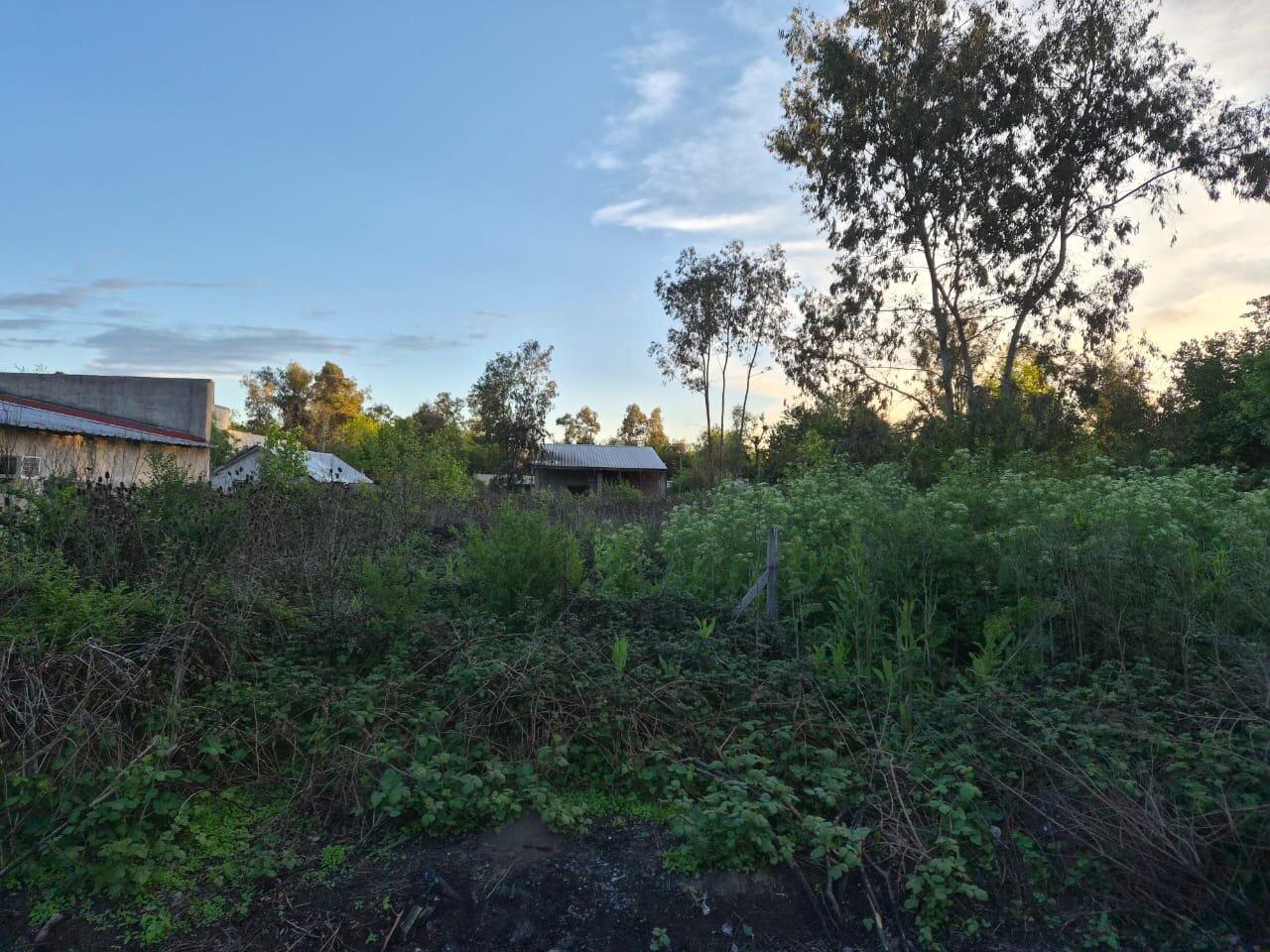 Foto de VENTA LOTE Gral RODRIGUEZ 712 m2, imagen 2