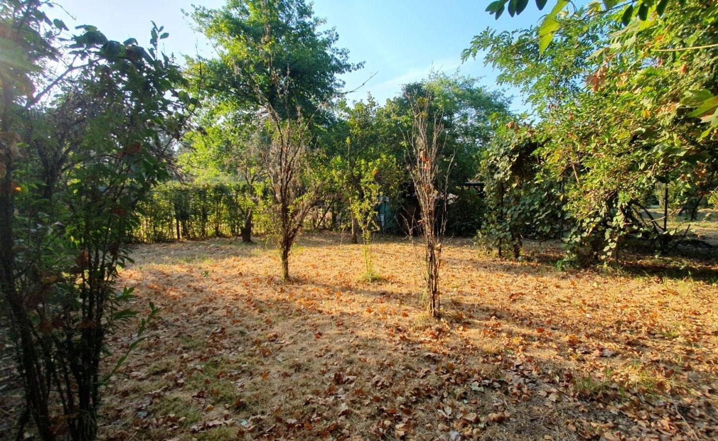 Foto de LOTE EN VENTA EN GENERAL RODRÍGUEZ, imagen 2