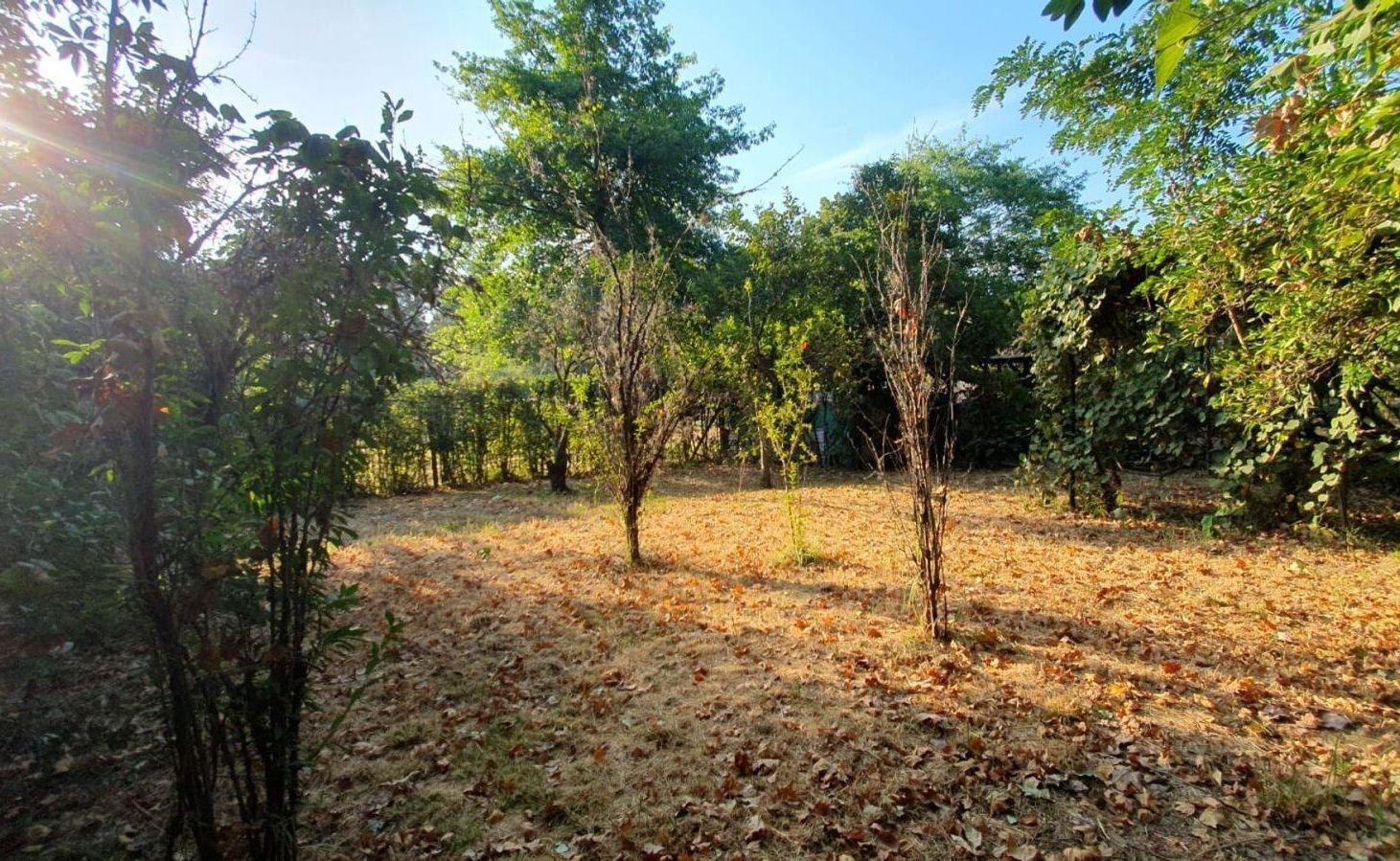 Foto de LOTE EN VENTA EN GENERAL RODRÍGUEZ, imagen 5