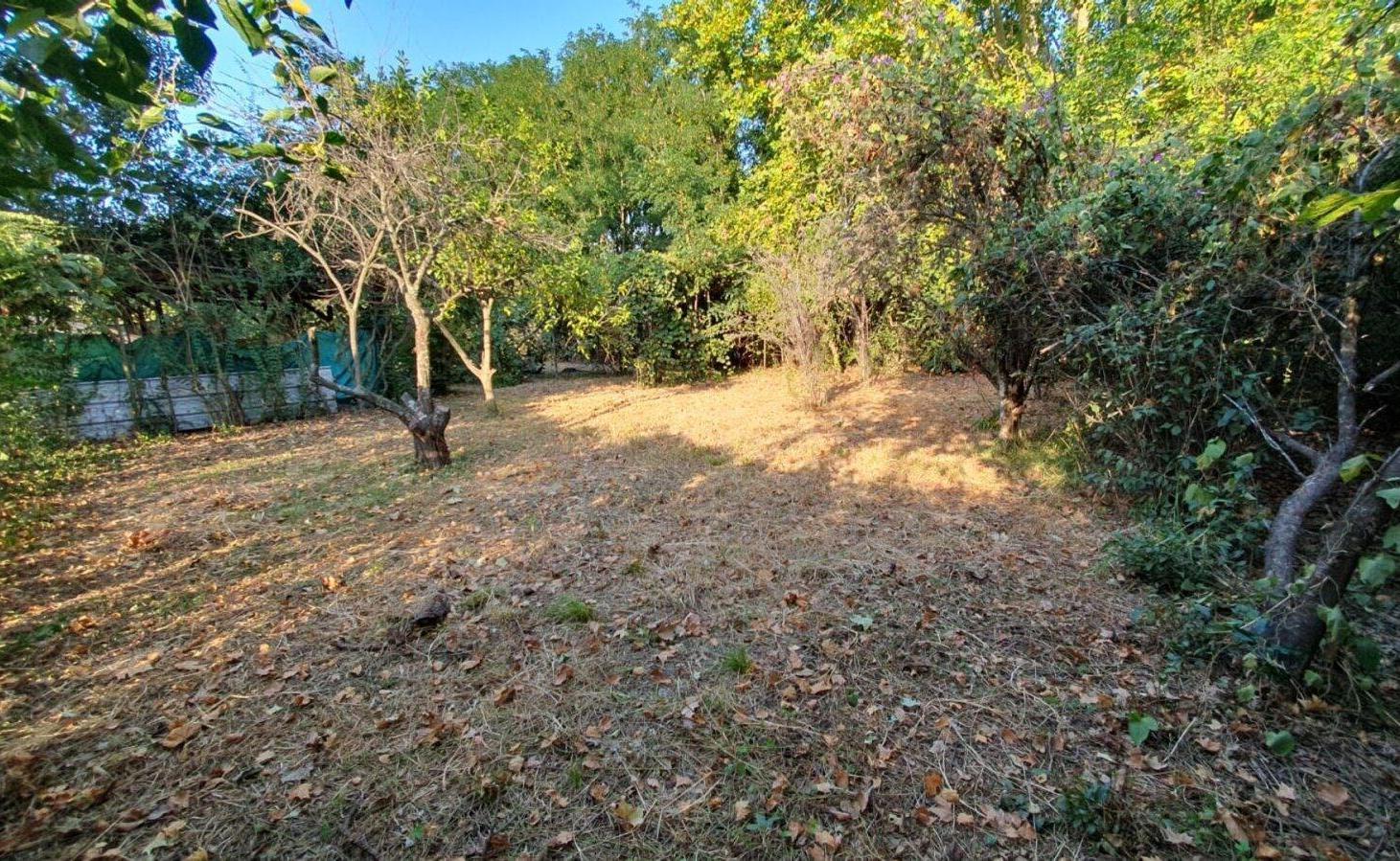 Foto de LOTE EN VENTA EN GENERAL RODRÍGUEZ, imagen 4