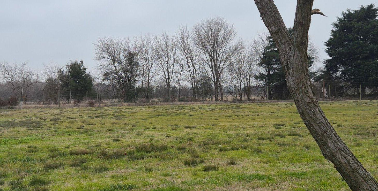Foto de Venta | Lote 1564m2 | Haras San Pablo (Ruta 6, Km 149,5, General, imagen 5