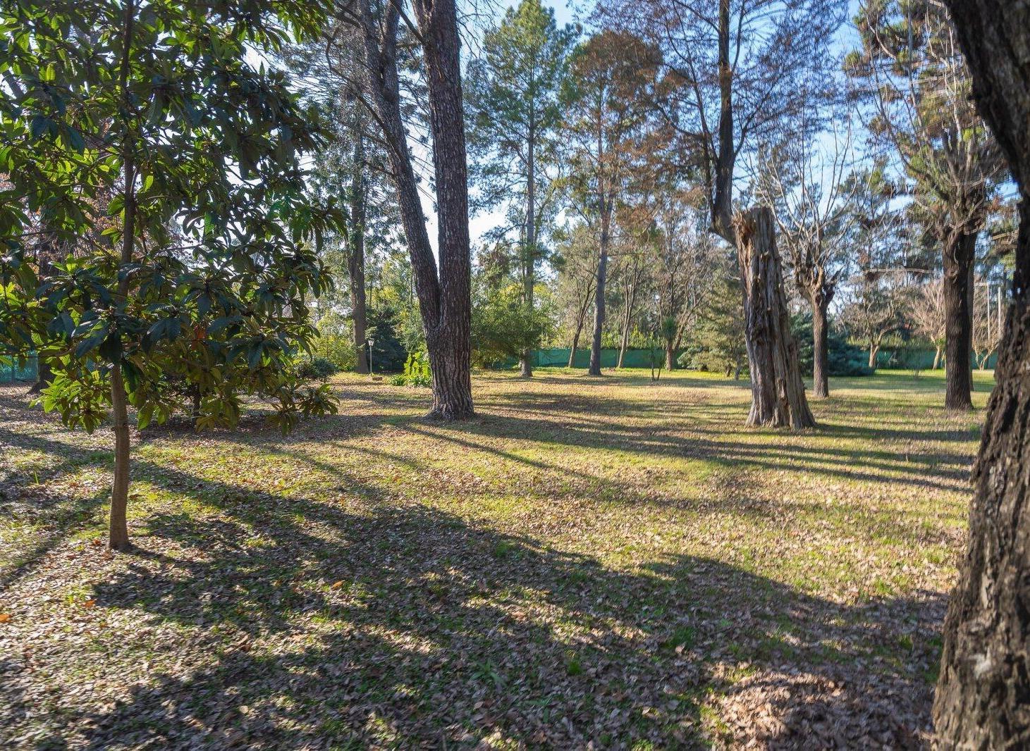 Foto de VENTA I CASA QUINTA SOBRE 6.131 m² CON ENORME POTENCIAL, imagen 2