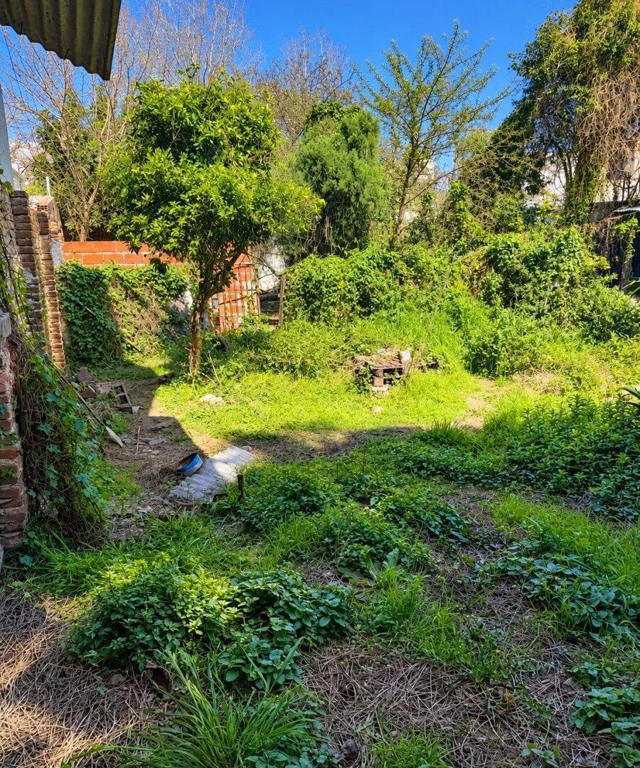 Foto de Terreno Comercial sobre Av. Dardo Rocha – Tigre | Ideal para Locales, imagen 4