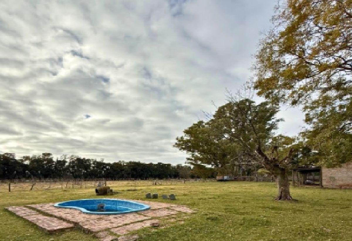 Foto de Campo en Venta 10 ha.en Mercedes, Bs As. CASA 3 DOPRMITORIOS Y GALPON, imagen 2