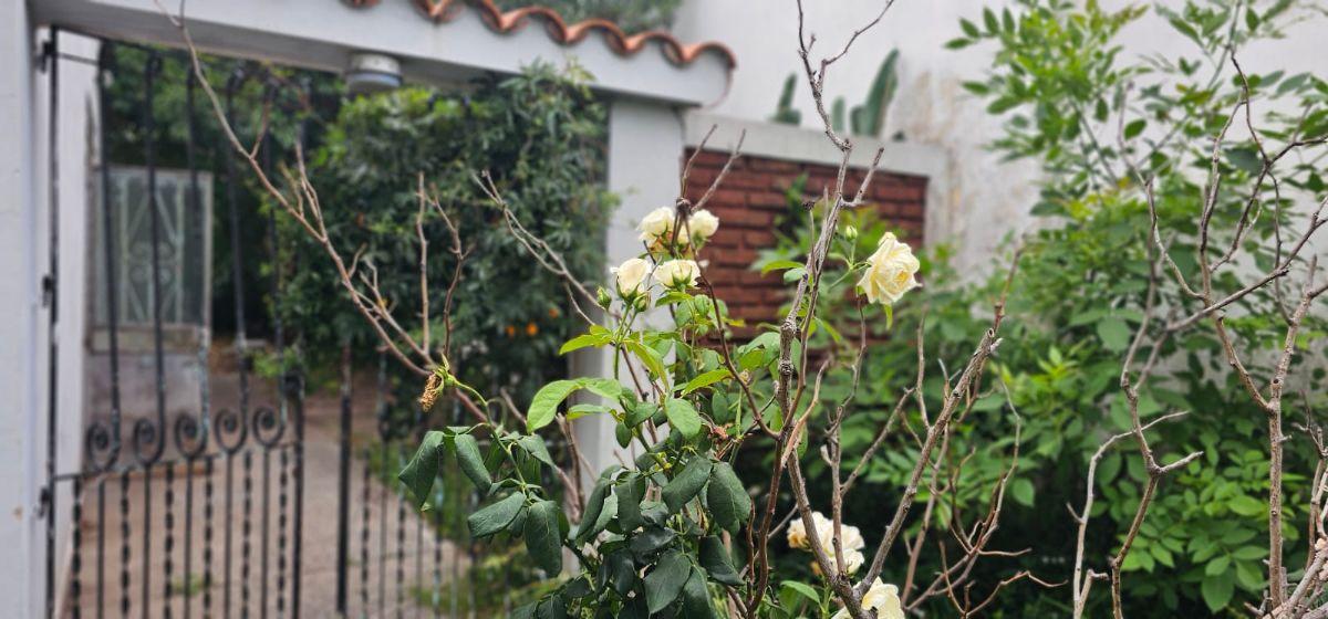 Foto de Miguel Cane 1382- Casa a refaccionar patio trasero y espacio verde, imagen 3