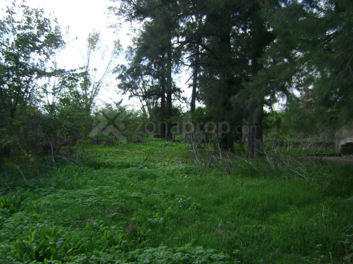 Foto de 8 lotes en Lobos, imagen 2