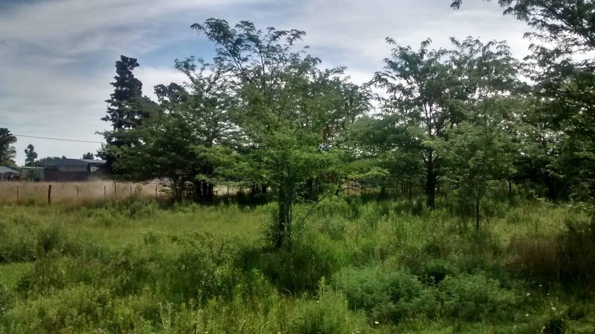 Lote en San Miguel del Monte. 2