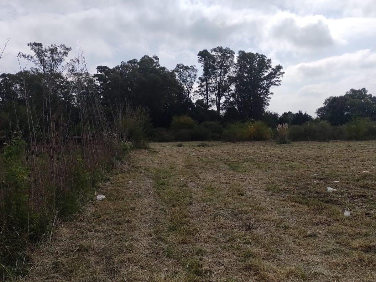 Desarrollo - 16 lotes de 800m2 en Barrio Peluffo, Cañuelas. Calle French