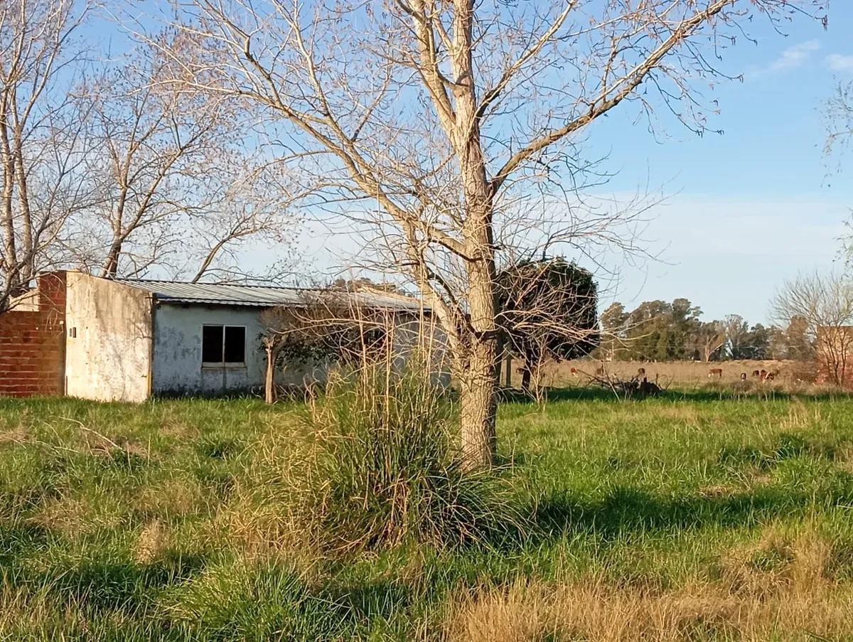 Foto de 12.800 m² | 2 viviendas | Videla Dorna, imagen 4