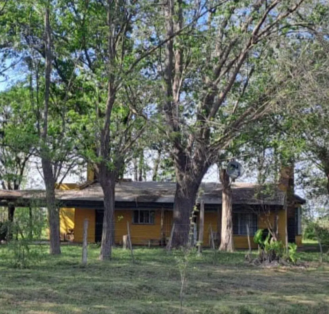 Campo de 8 hectáreas con casa, pileta y galpón en Lobos 2
