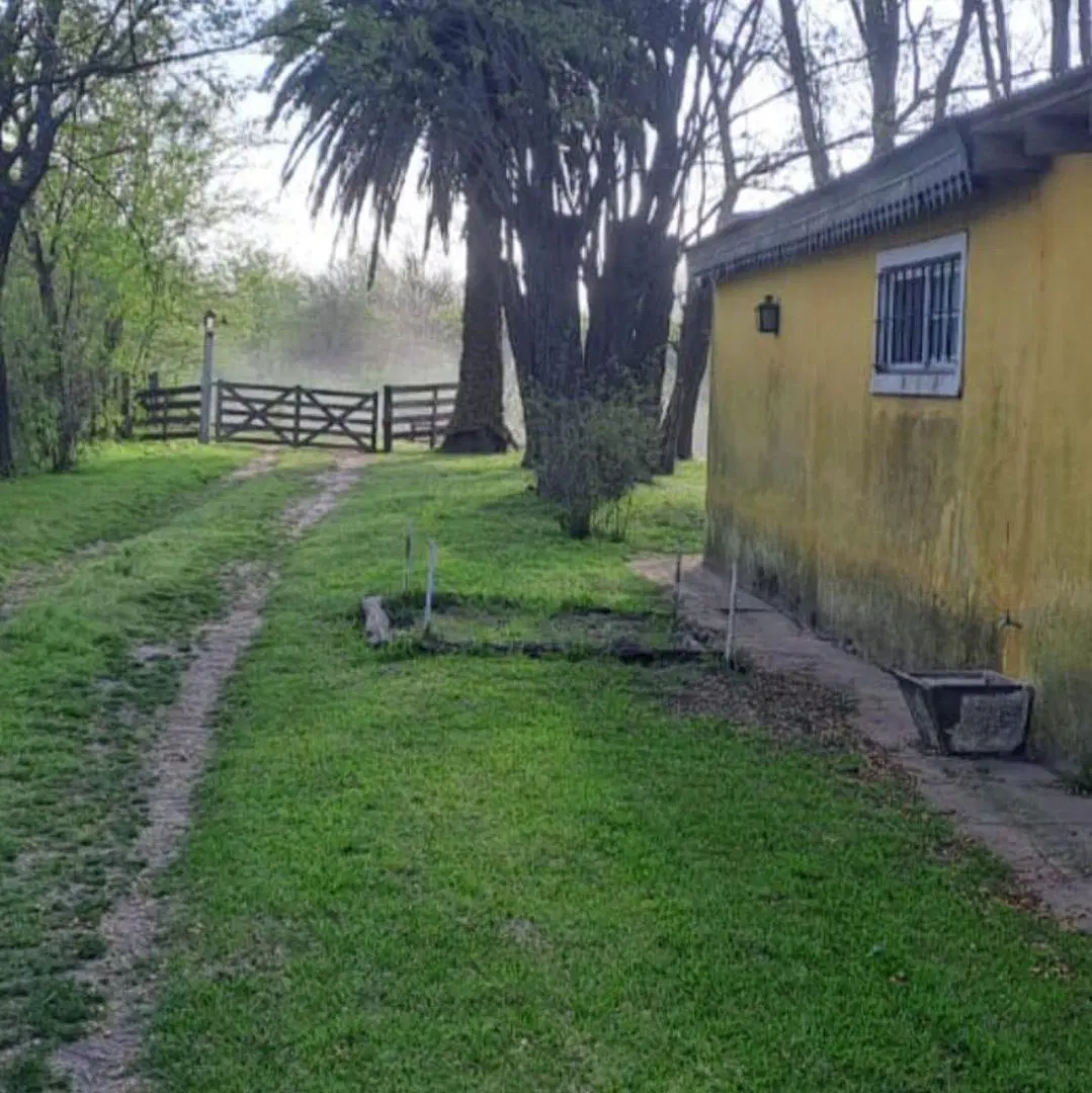 Campo de 8 hectáreas con casa, pileta y galpón en Lobos 5