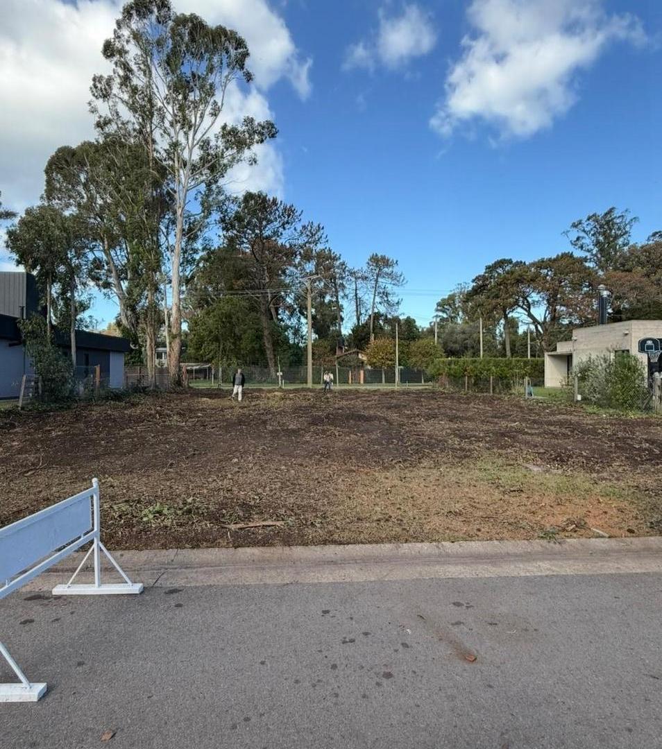 Foto de LOTE LAS PRUNAS N° 111, imagen 1