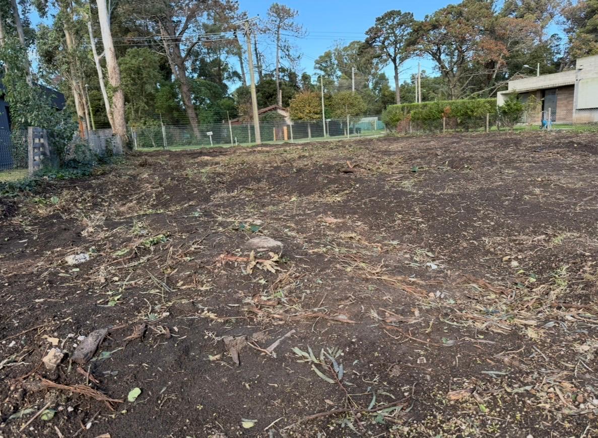 Foto de LOTE LAS PRUNAS N° 111, imagen 2