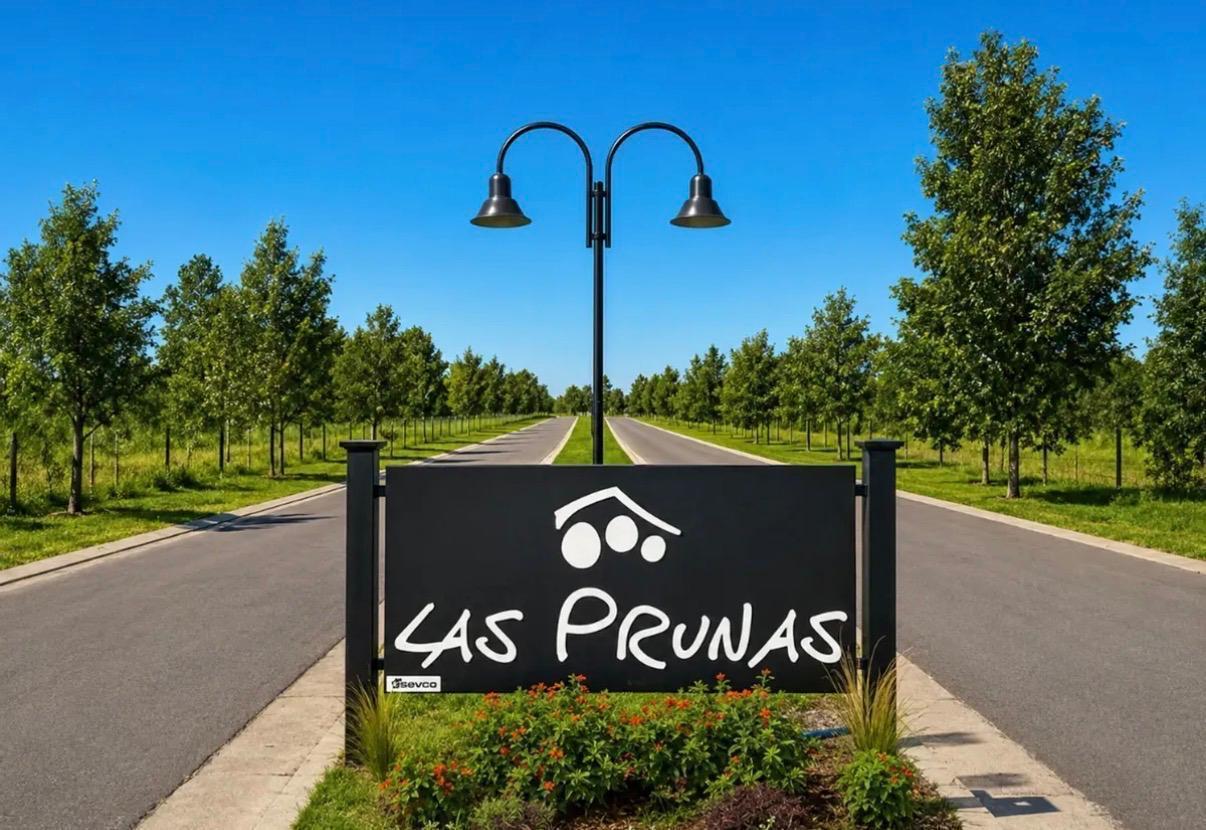 Foto de LOTE LAS PRUNAS N° 111, imagen 3