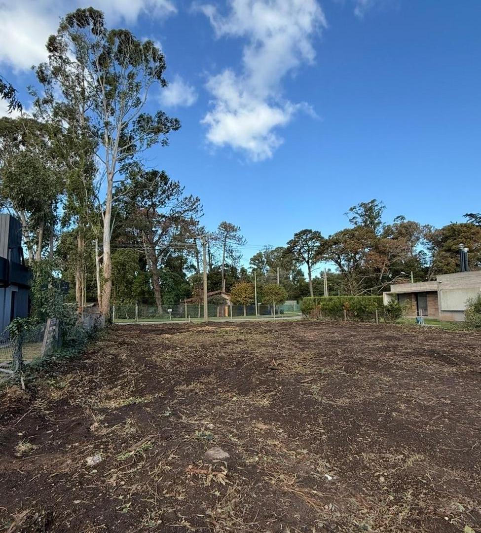 Foto de LOTE LAS PRUNAS N° 111, imagen 4
