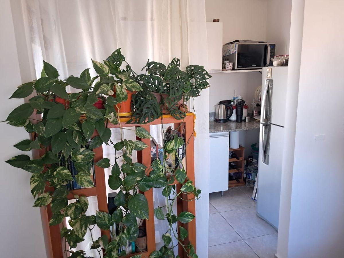 Foto de 2 AMBIENTES IMPECABLE - PARRILLAS LAUNDRY BAULERA, imagen 3