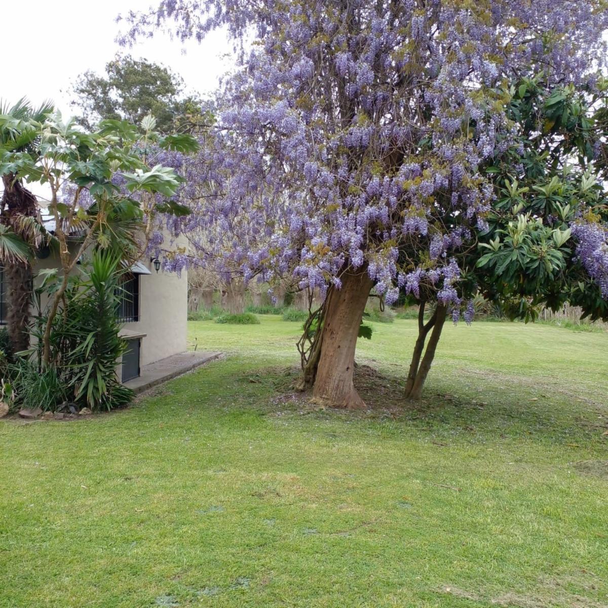 Quinta + Campo 6,8 Hz. en Venta, Cnel. Brandsen, Prov. Buenos Aires 2