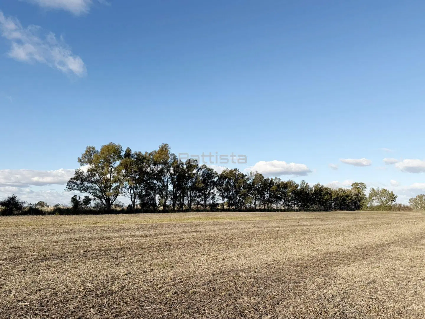 Campo 53.15 hectáreas | . | S/N 5