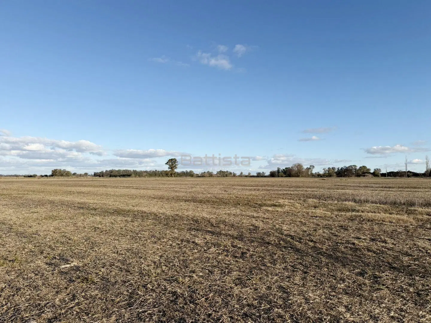 Campo 53.15 hectáreas | . | S/N 1