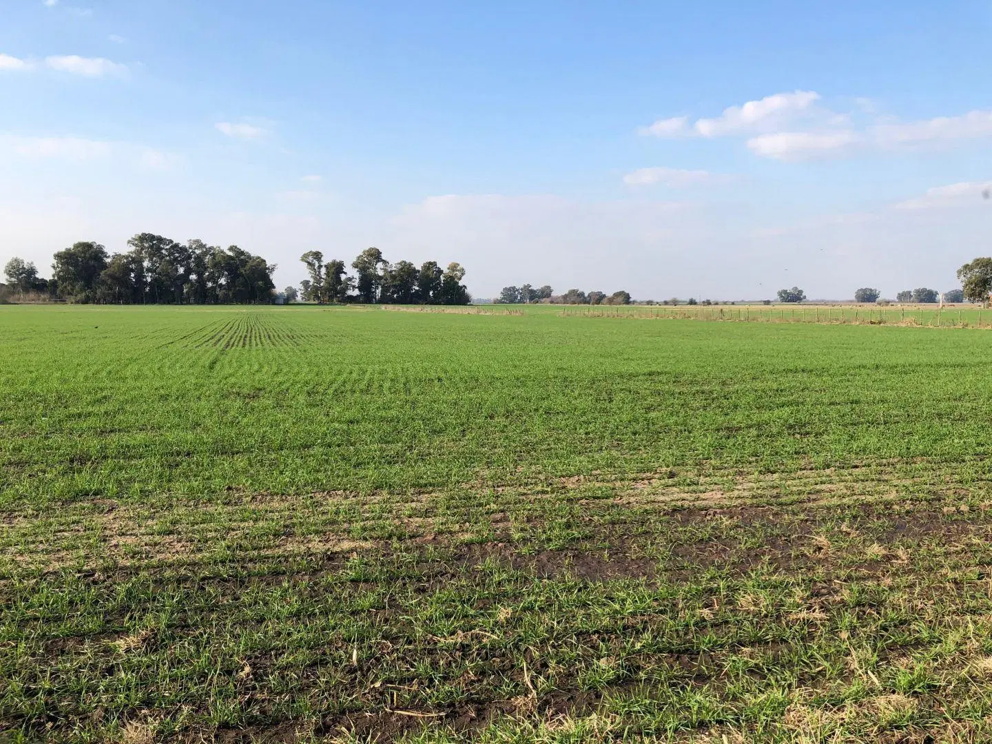 Campo 53.15 hectáreas | . | S/N 2