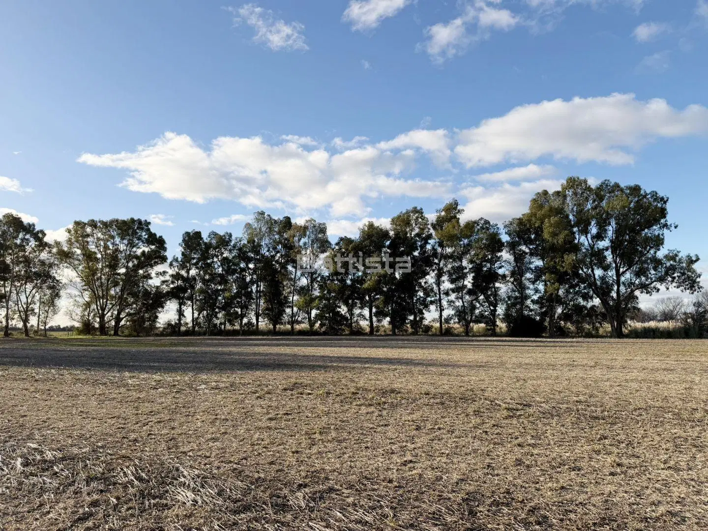 Campo 53.15 hectáreas | . | S/N 8