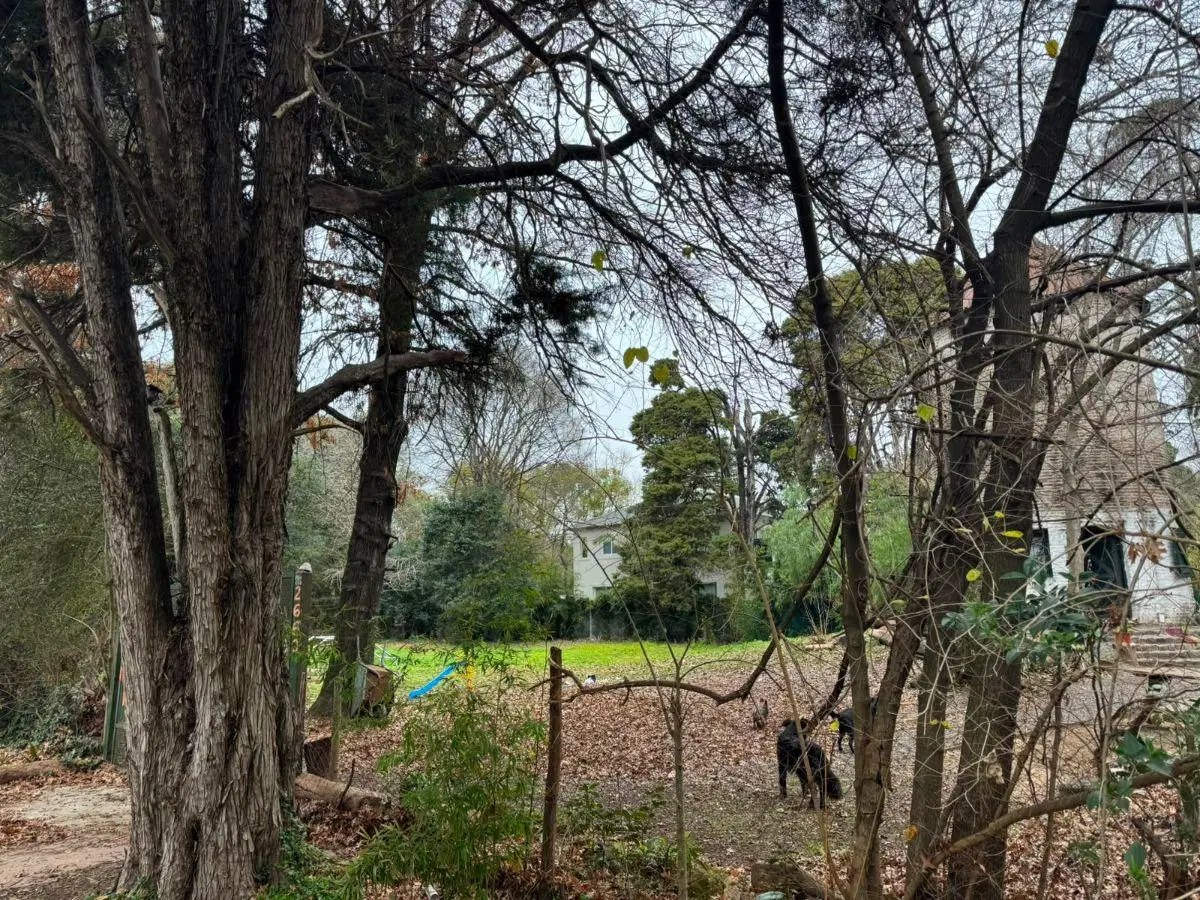 Del Malambo 2595 4