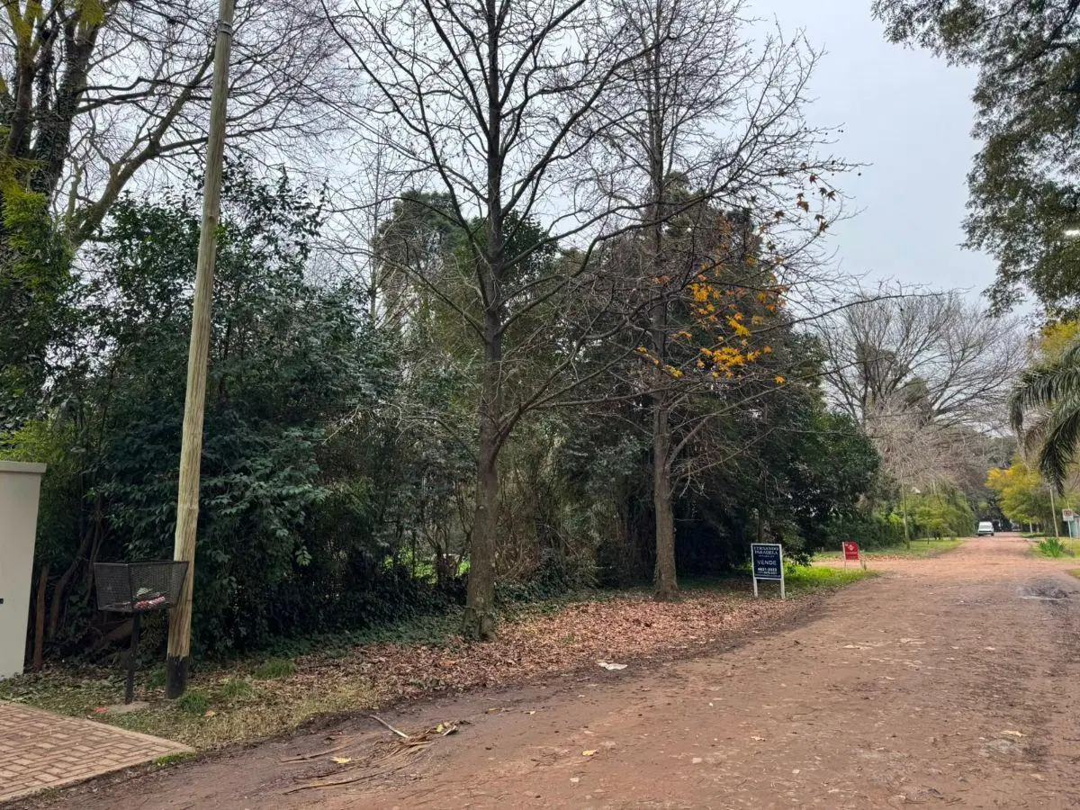 Del Malambo 2595 5