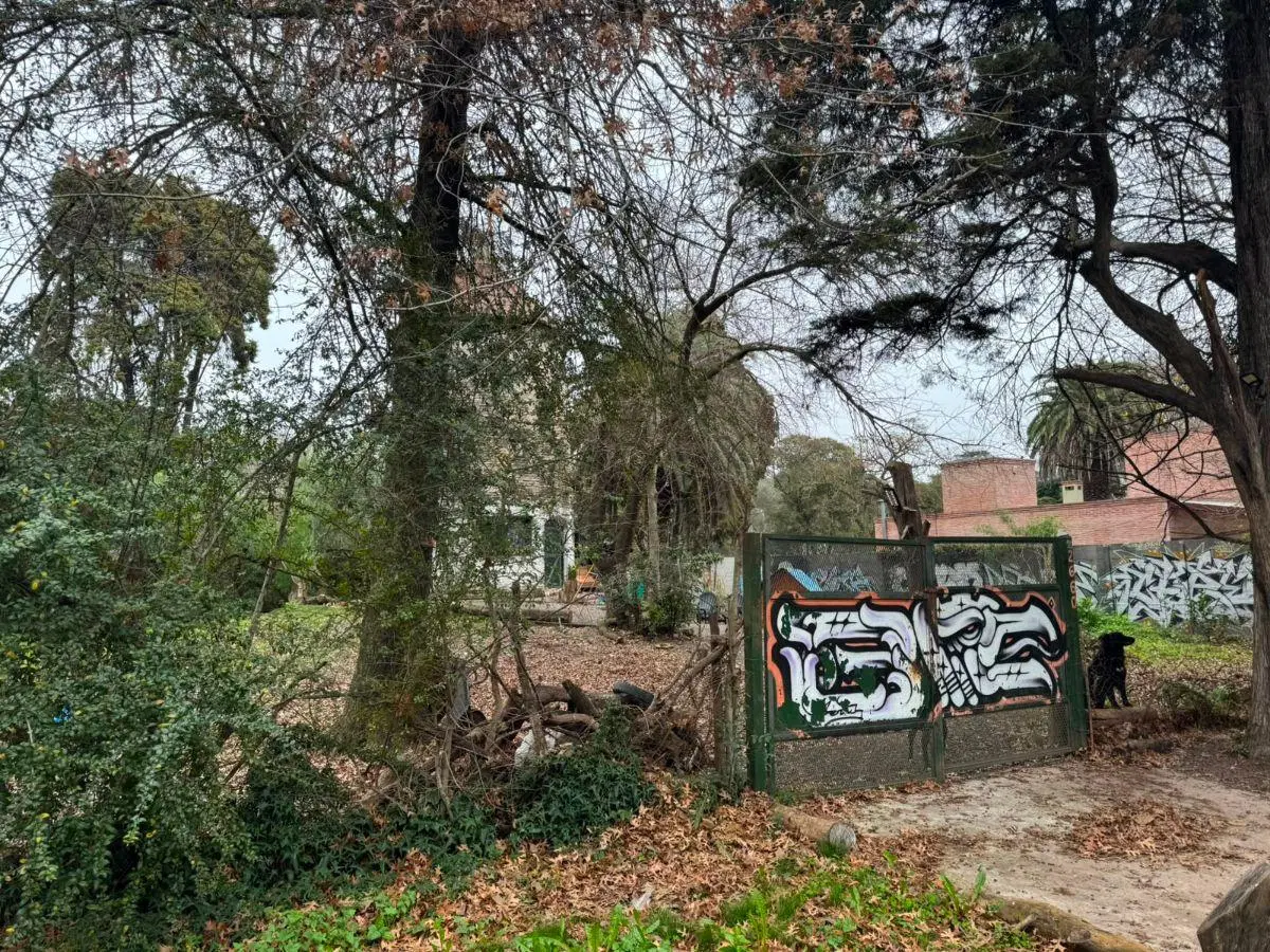 Del Malambo 2595 3