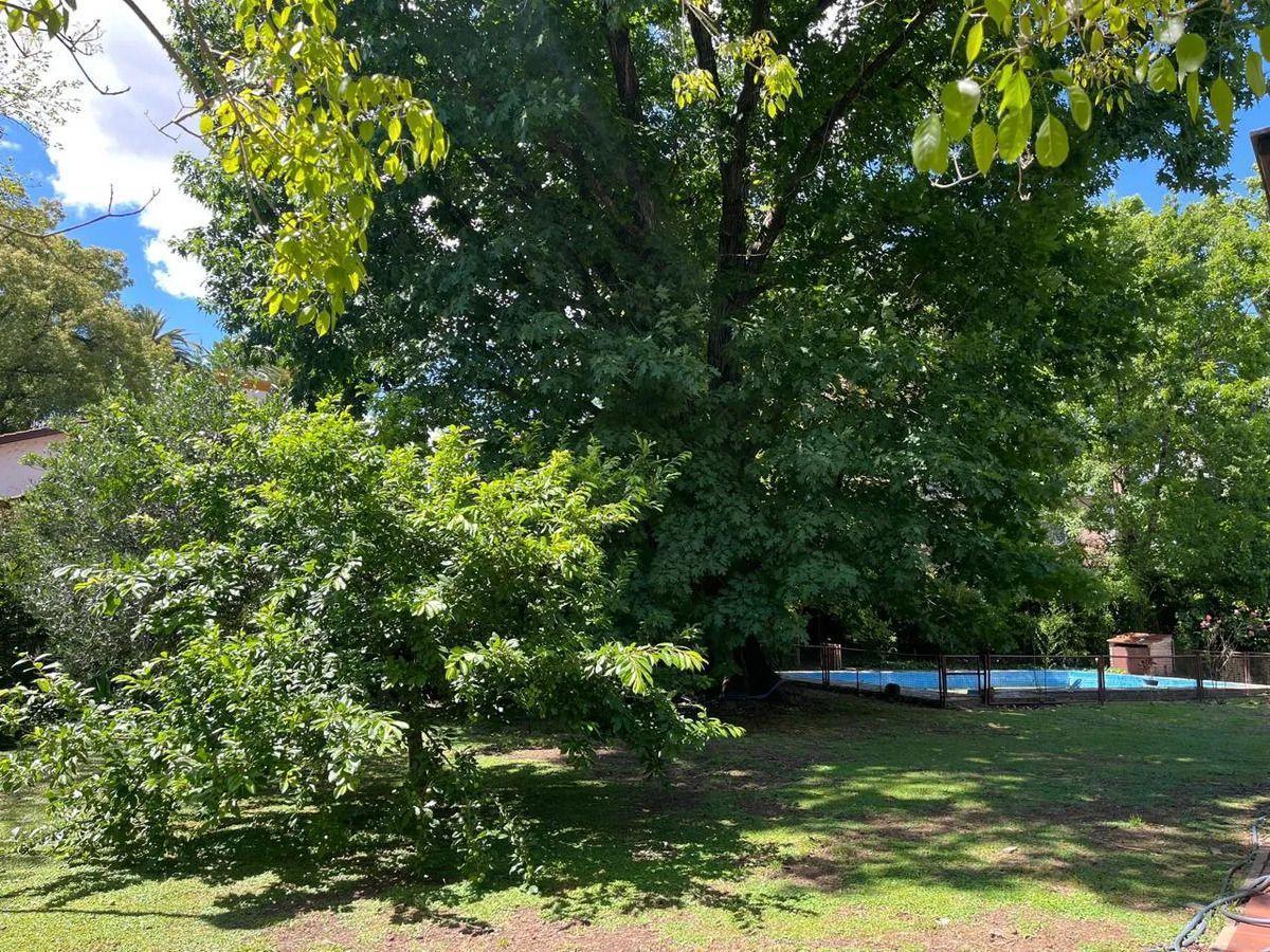 Foto de VENTA casa 4 ambientes Parque Leloir csobre lote de 1000 mts., imagen 5