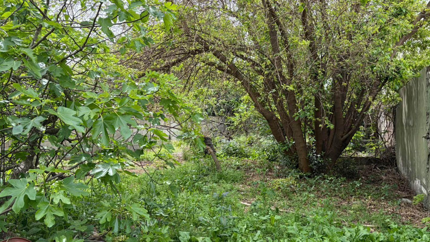 Foto de VENTA LOTE TERRENO ITUZAINGO NORTE 11 x 49, imagen 4