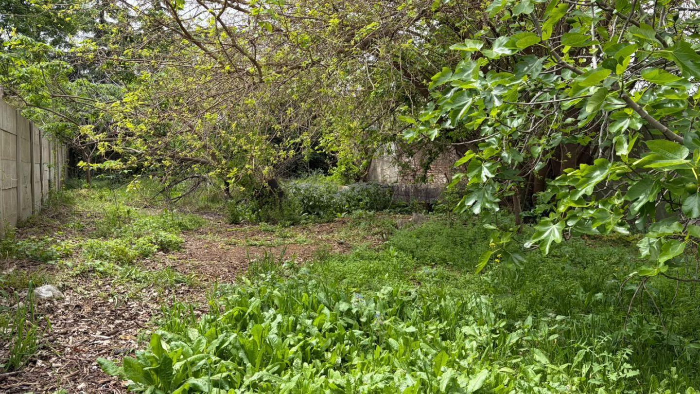 Foto de VENTA LOTE TERRENO ITUZAINGO NORTE 11 x 49, imagen 3