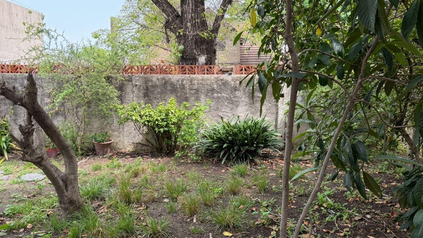 Foto de VENTA LOTE TERRENO ITUZAINGO NORTE 11 x 49, imagen 1
