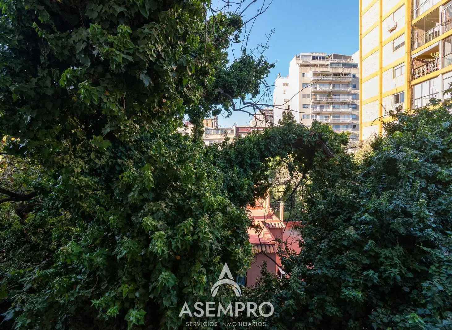 Departamento en Venta 3 ambientes en Belgrano Pasaje Fitte 3