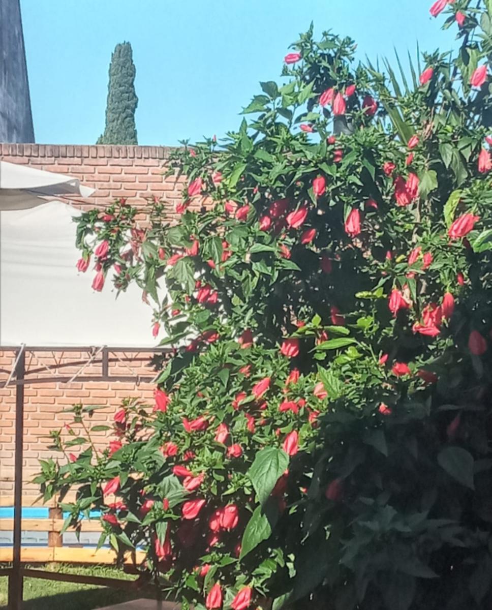 Foto de Chalet en venta de 6 ambientes con jardín, piscina y cochera, imagen 5