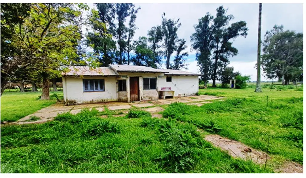 HERMOSA CASA IMPLANTADA EN UN GRAN LOTE 2