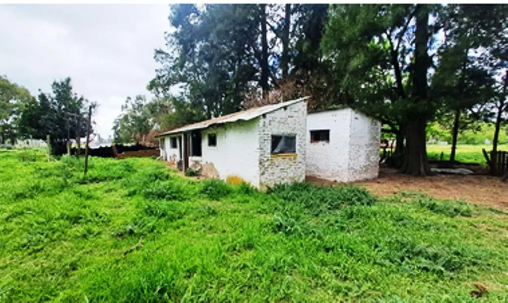 HERMOSA CASA IMPLANTADA EN UN GRAN LOTE 3
