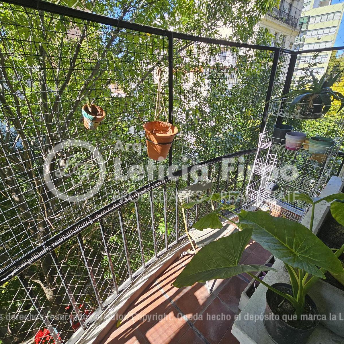 Duplex en Ultimo Piso con Amplia Terraza. 3