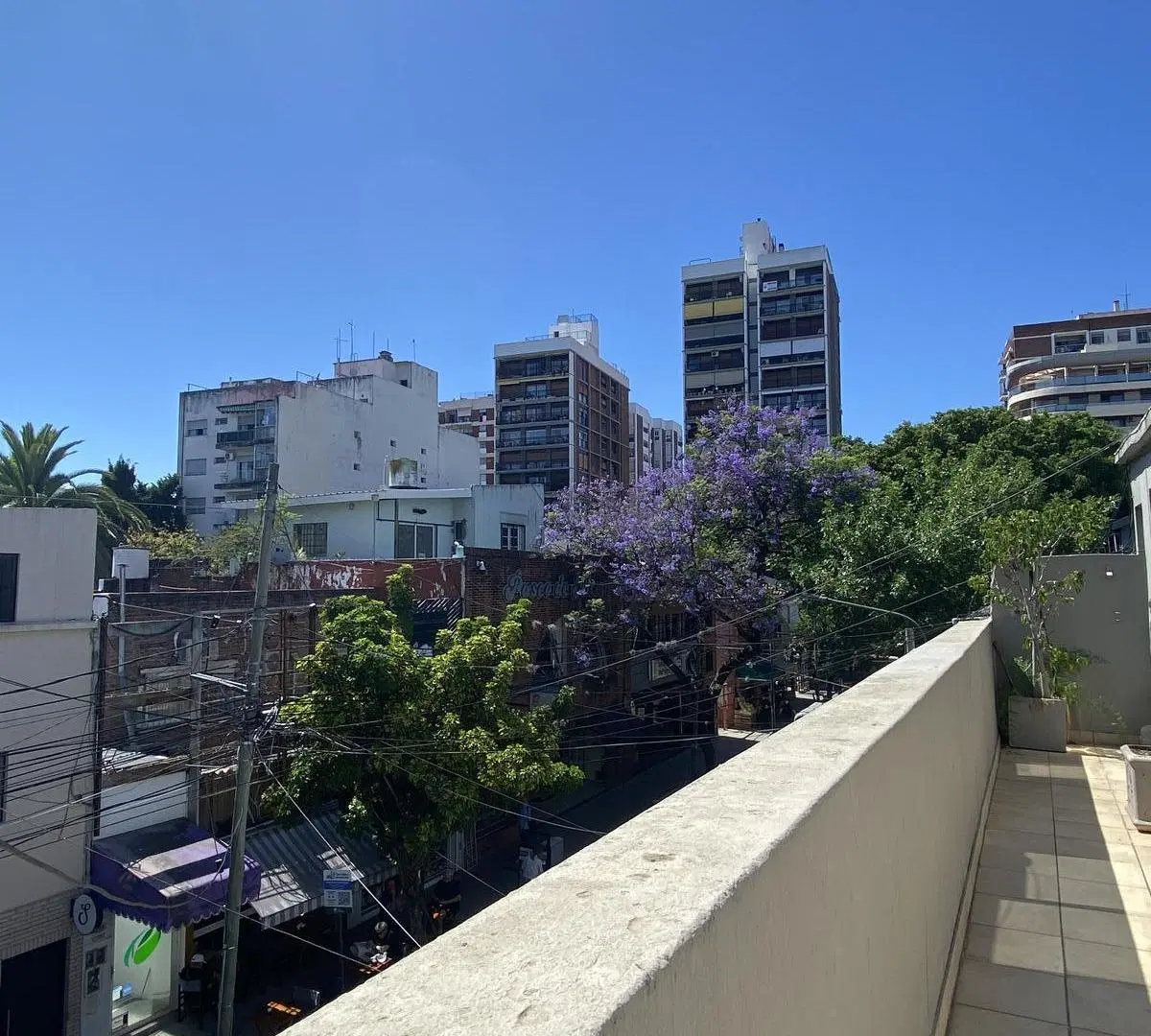PH APTO PROFESIONAL CENTRO DE MARTINEZ EN VENTA 5