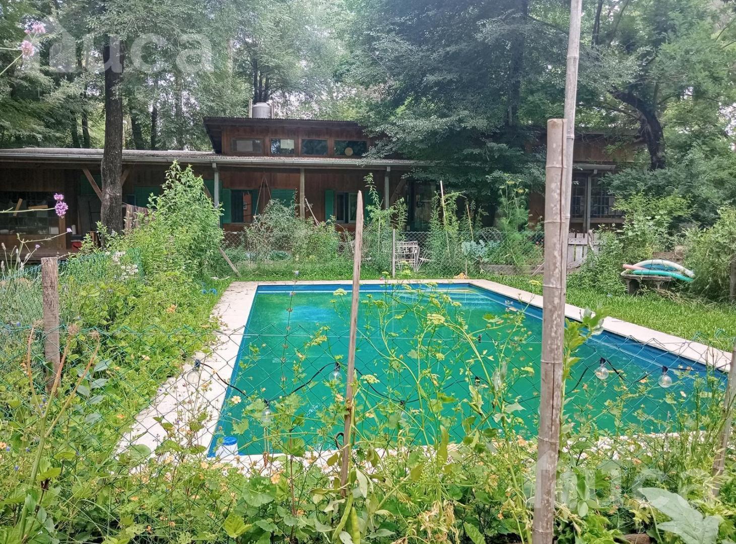 Foto de VENTA | HERMOSA CASA de MADERA, PARQUE y PILETA | Las Chacras, Ing. Maschwitz, imagen 3