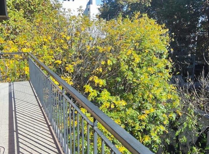 Semipiso Al Frente con balcon   Muy Bien Ubicado Y Luminoso Dos Domitorios 5
