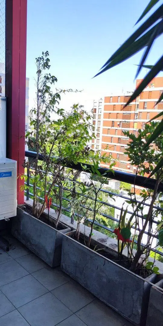 HERMOSO DUPLEX CON BALCONAL FRENTE Y COCHERA 3