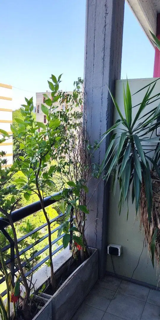 HERMOSO DUPLEX CON BALCONAL FRENTE Y COCHERA 5