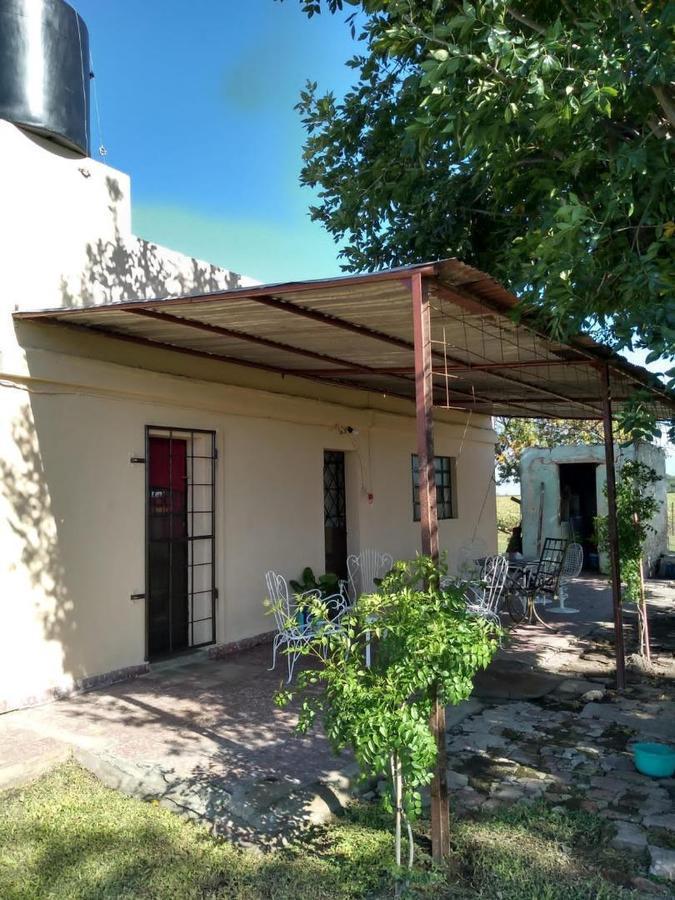 Campo Mixto 36has San Nicolas 5